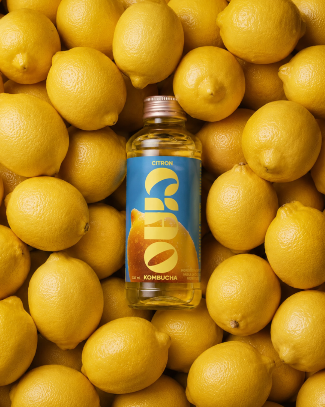 Kombucha citron sur lit de citrons